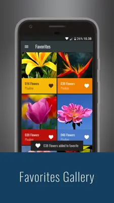 Flowers HD Wallpapers android App screenshot 10