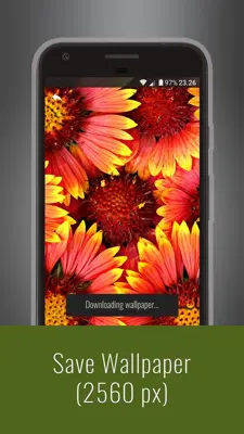 Flowers HD Wallpapers android App screenshot 12