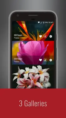 Flowers HD Wallpapers android App screenshot 14