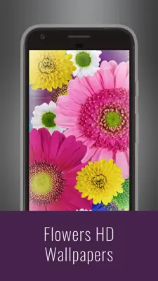 Flowers HD Wallpapers android App screenshot 15