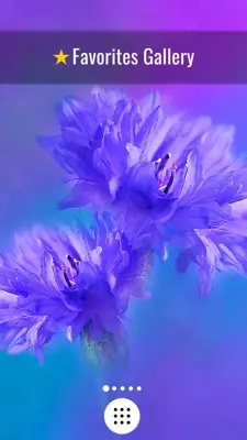 Flowers HD Wallpapers android App screenshot 2