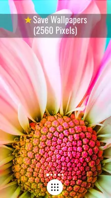 Flowers HD Wallpapers android App screenshot 4