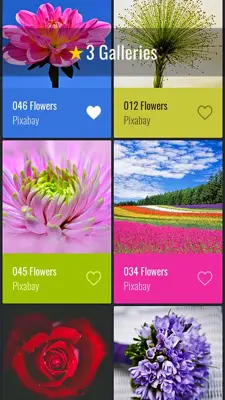 Flowers HD Wallpapers android App screenshot 6