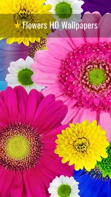 Flowers HD Wallpapers android App screenshot 7